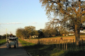 An evening on a country road. 